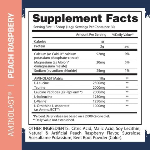  Amino Last BCAA Recovery & Endurance 30 lần dùng : Gaspari Nutrition 