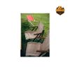 Ghế Dã Ngoại Snow Peak Low Chair Short Ivory LV-093IV