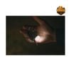 Đèn LED Móc Khóa Snow Peak Micro Hozuki Higure ES-150-OR