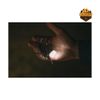 Đèn LED Móc Khóa Snow Peak Micro Hozuki Asamoya ES-150-IV