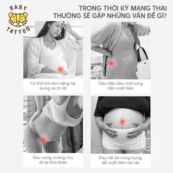  Đai Nâng Đỡ Bụng Bầu Phiên Bản PREMIUM, Giúp Giảm Đau Lưng, Đau Hông, Chống Chảy Xệ, Điều Chỉnh Linh Hoạt 