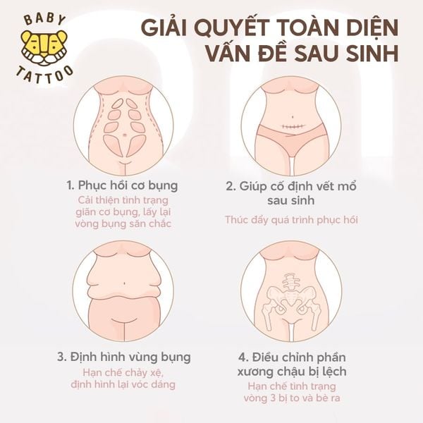  Đai Nịt Bụng Sau Sinh 3 Đai, Chuyên Dụng Cho Mẹ Bầu Sinh Mổ, Giúp Định Hình Vóc Dáng, Nâng Đỡ Cơ Bụng 