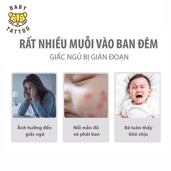  Combo Máy Xông Và Tinh Dầu Đuổi Muỗi Không Mùi Không Khói 