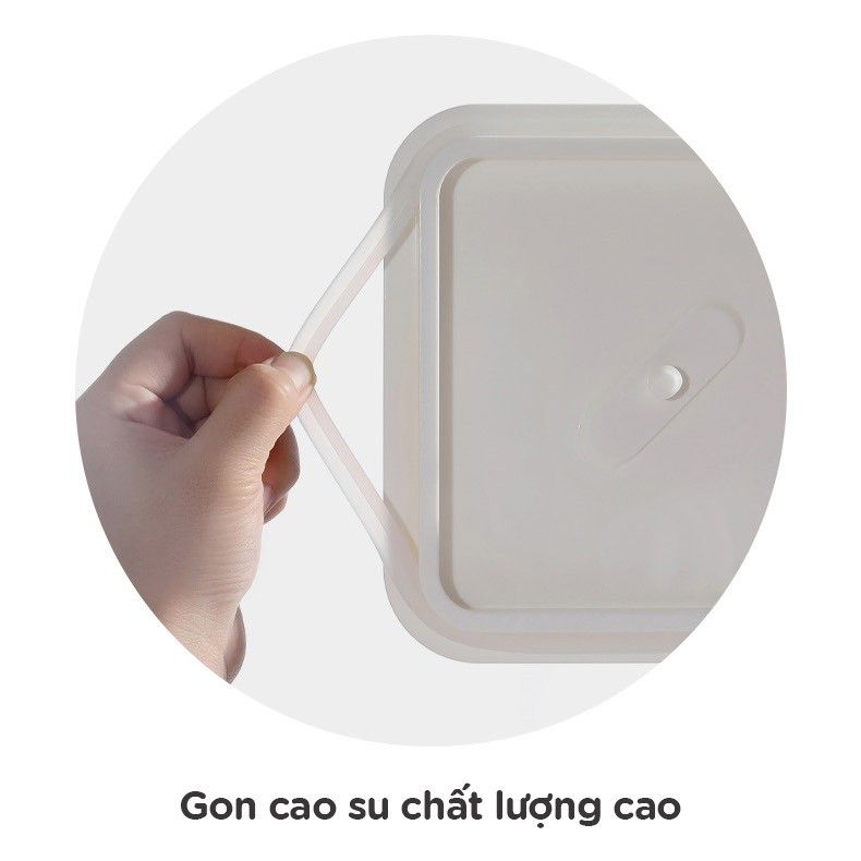 Hộp cơm văn phòng chia ngăn FSLSH-161-162
