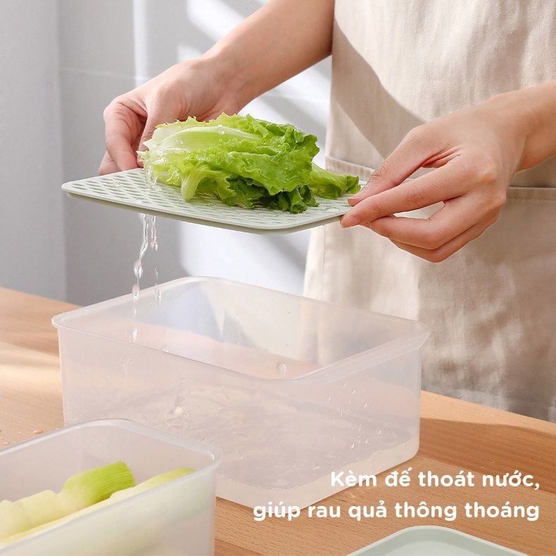 Hộp bảo quản thức ăn kháng khuẩn FSLSH-186