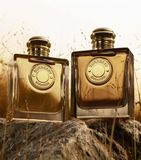  Vial Nước Hoa Burberry Goddess Parfums 1.5ml 