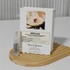Vial Nước Hoa Maison Margiela Replica Afternoon Delight 1.2ml