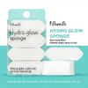  Mút Tán Nền Filliwilli Hydro Glow Sponge (4P) 