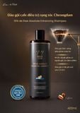  Dầu gội caffe điều trị rụng tóc DG01 