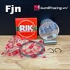 PISTON FJN