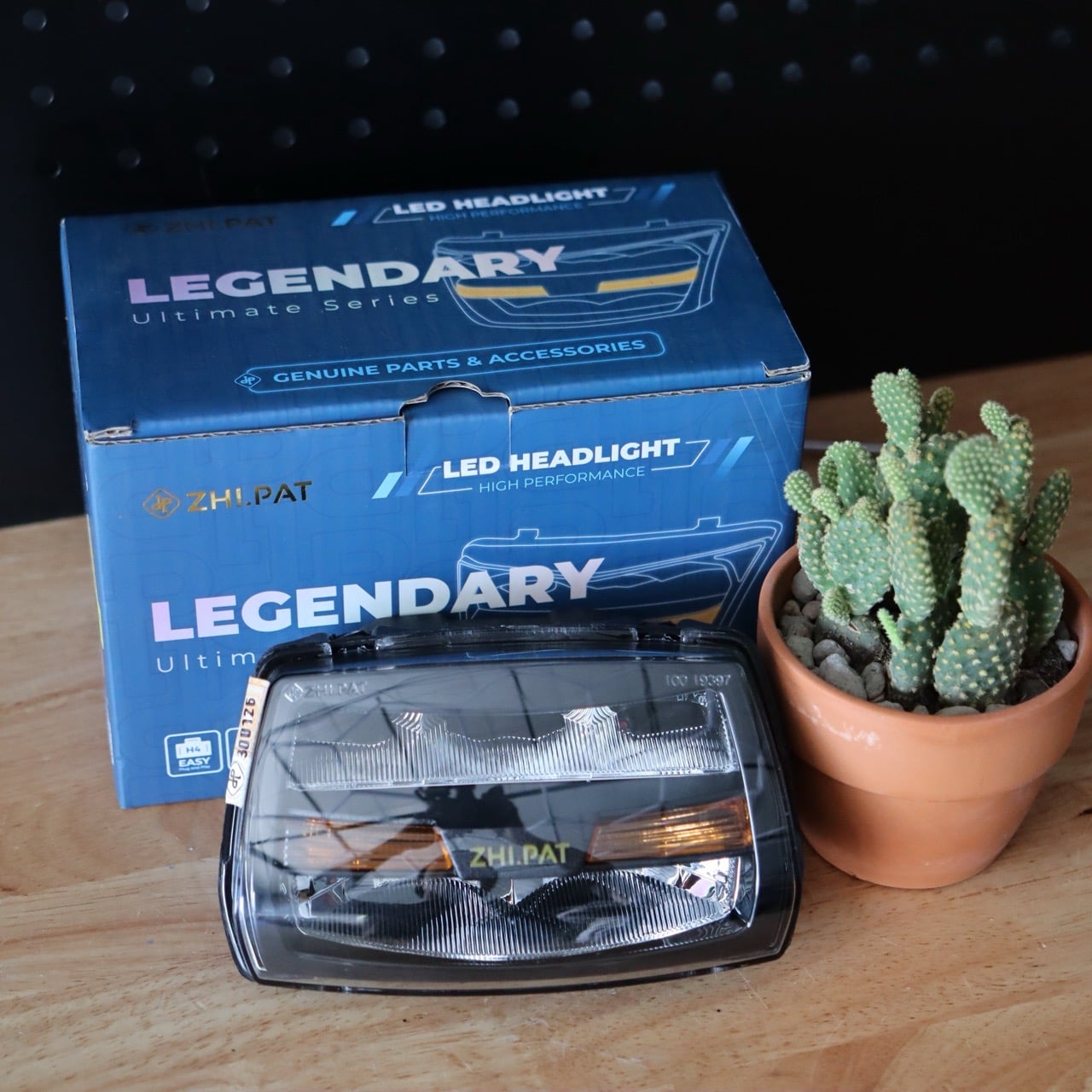 PHA ĐÈN ZHI.PAT DREAM