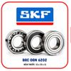 Vòng BI (BẠC ĐẠN) SKF