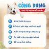 Snack Thưởng Viên Thịt Mềm Cho Chó Doggyman
