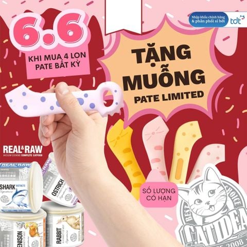 [4 LON TẶNG MUỖNG NGẪU NHIÊN]Pate thịt tươi Catidea Real and Raw cao cấp cho mèo