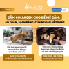 Snack cho chó Gặm sạch răng Collagen Altimate gói 90gr
