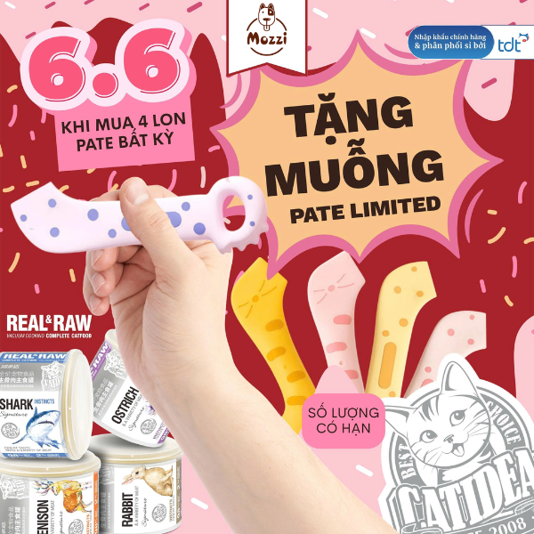 Muỗng Pate Catidea Limited