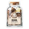 Pate Catidea Cho Mèo Làm Từ Thịt Thật Cao Cấp Cùng Dầu Nhuyễn Thể Krill Oil