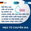 Dung dịch tẩy vết bẩn & khử mùi thú cưng Dr. Beckmann
