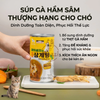 Súp gà hầm sâm cho chó mèo Palmy Days