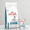[2kg] Thức ăn hạt Pate Royal Canin Hypoallergenic Canine Hỗ trợ chó dị ứng