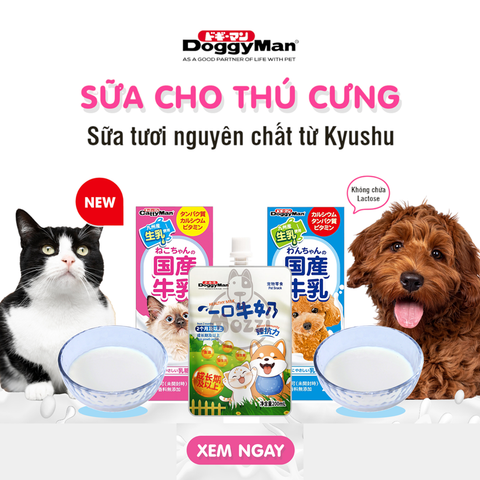  Sữa tươi cho chó mèo Doggyman Cattyman Hộp 200ml 