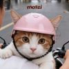Nón Bảo Hiểm Dlni Cho Chó Mèo