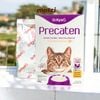 Sữa bột cho mèo Precaten Dr.Kyan [100g - 400g]