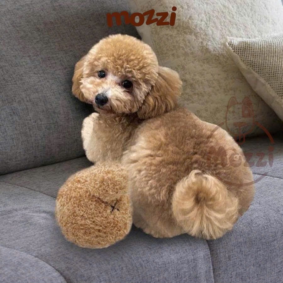 Đồ chơi chó mèo Banh hình đuôi chó Poodle Shiba Doggyman