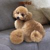 Đồ chơi chó mèo Banh hình đuôi chó Poodle Shiba Doggyman