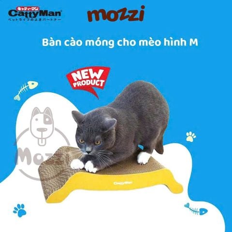  Bàn cào móng CattyMan cho mèo giấy cotton kèm catnip 
