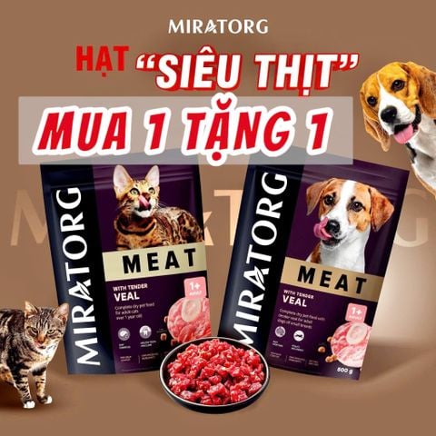  Thức ăn hạt Miratorg Nga cho mèo 