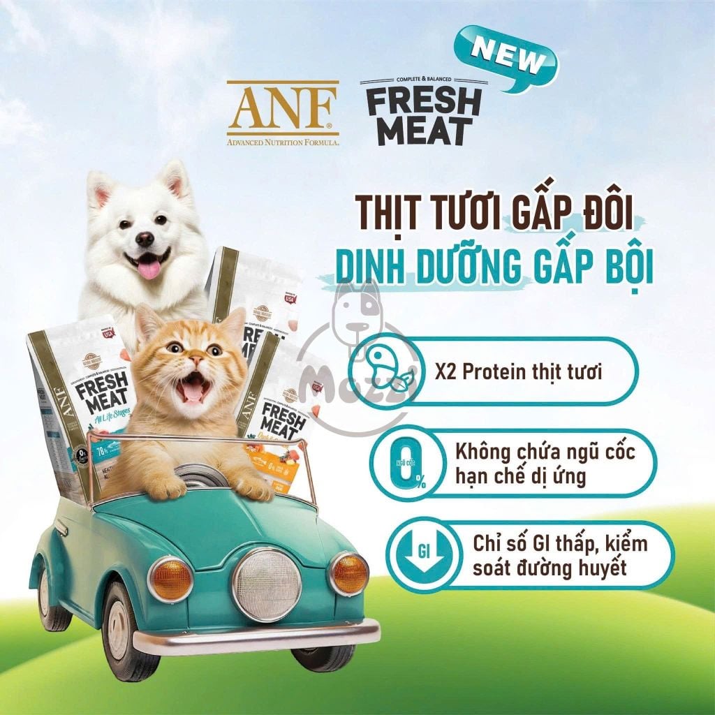 Thức ăn hạt ANF Fresh Meat gấp đôi thịt cho mèo Bịch 1.6kg