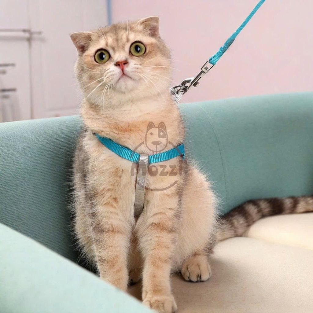 Dây dắt yếm ngực KaFuLi mix màu trơn cho chó mèo