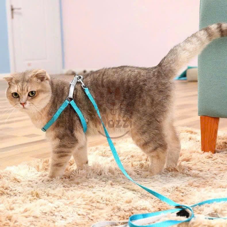Dây dắt yếm ngực KaFuLi mix màu trơn cho chó mèo