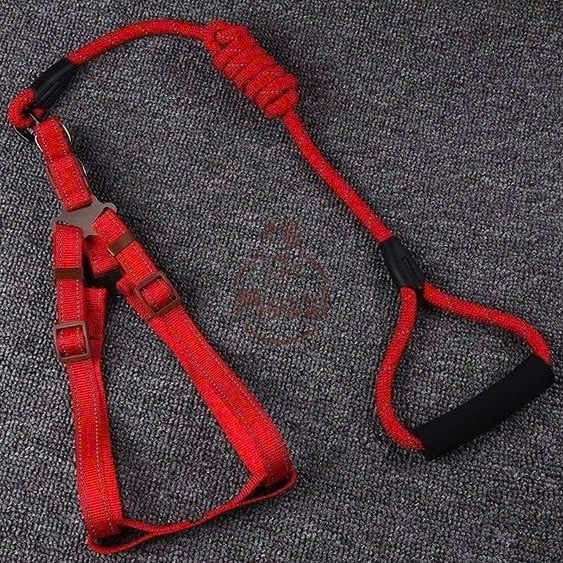 Dây dắt yếm ngực viền chỉ phản quang cho chó mèo