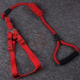  Dây dắt yếm ngực viền chỉ phản quang cho chó mèo 