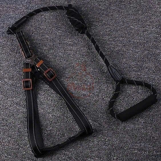 Dây dắt yếm ngực viền chỉ phản quang cho chó mèo