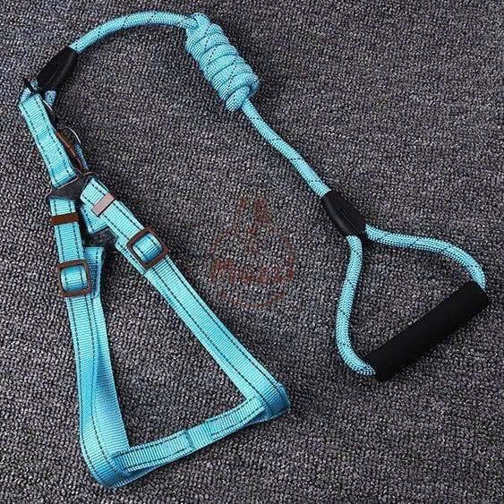 Dây dắt yếm ngực viền chỉ phản quang cho chó mèo