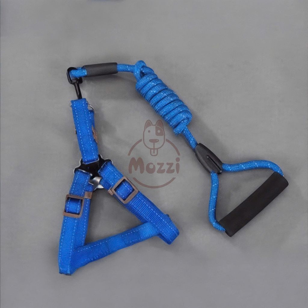 Dây dắt yếm ngực viền chỉ phản quang cho chó mèo