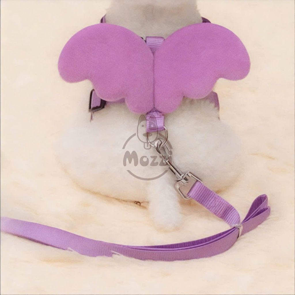 Dây dắt ngực gắn cánh thiên thần cho chó mèo