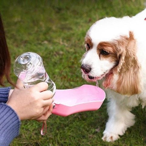  Bình nước du lịch cao cấp DiIl cho chó mèo 