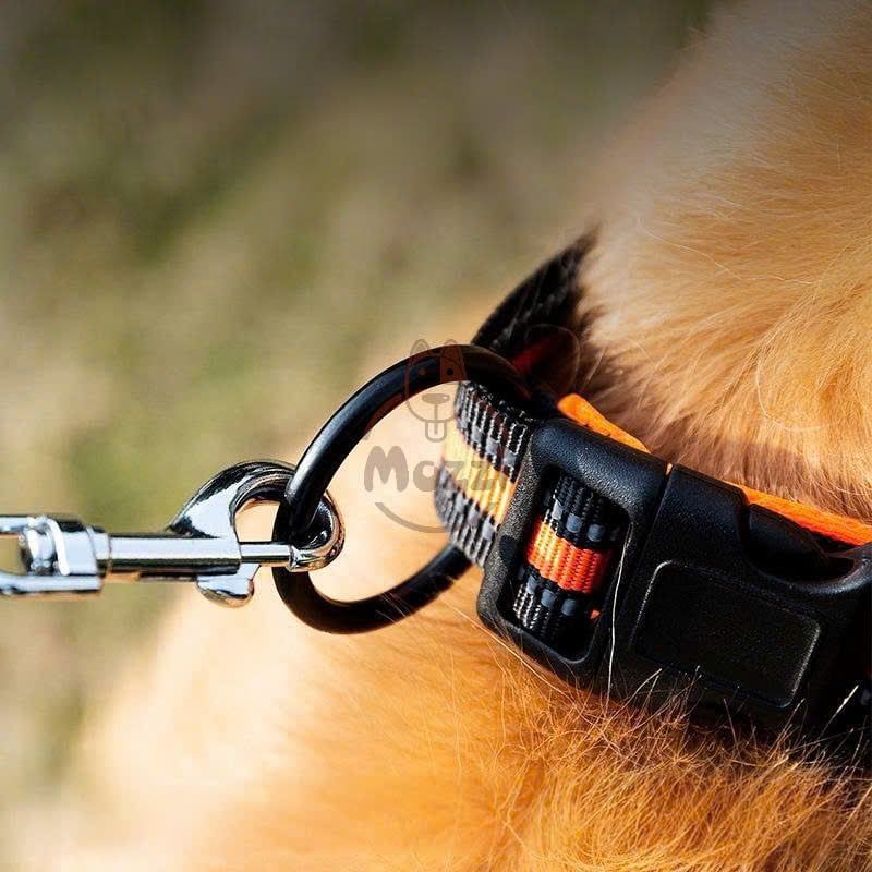 Vòng cổ DOG có đệm lót mềm