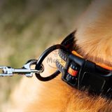  Vòng cổ DOG có đệm lót mềm 