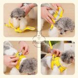  Dây dắt yếm ngực nửa bụng phản quang cho chó mèo 