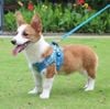 Dây dắt yếm ngực nửa bụng phản quang cho chó mèo