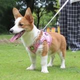  Dây dắt yếm ngực nửa bụng phản quang cho chó mèo 