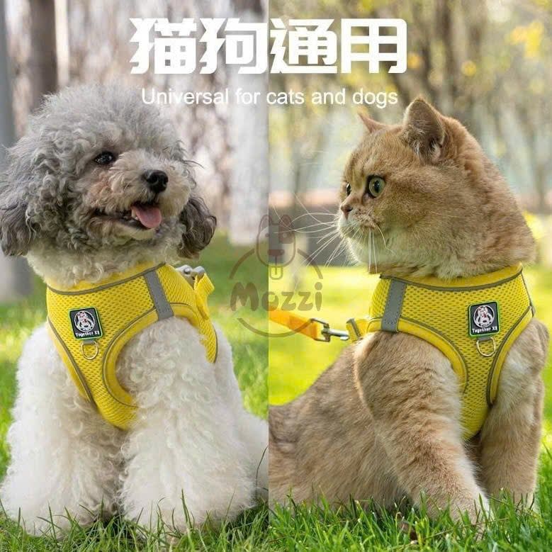 Dây dắt yếm ngực nửa bụng phản quang cho chó mèo