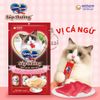 Súp thưởng cho mèo Silver Spoon Gói 4 thanh Bịch 56gr