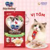 Súp thưởng cho mèo Silver Spoon Gói 4 thanh Bịch 56gr