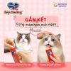Súp thưởng cho mèo Silver Spoon Gói 4 thanh Bịch 56gr